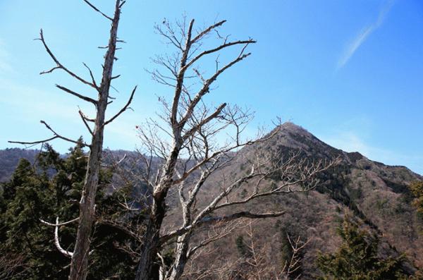 清冽な仁淀川を生み出す源の森たち＞最終回 黒滝山｜仁淀ブルー通信